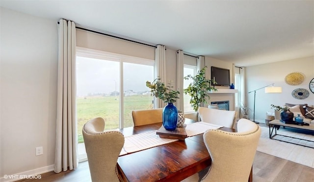 dining area featuring light hardwood / wood-style floors