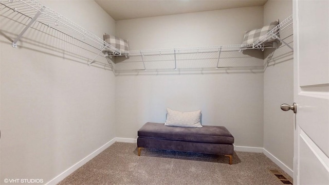 spacious closet with carpet