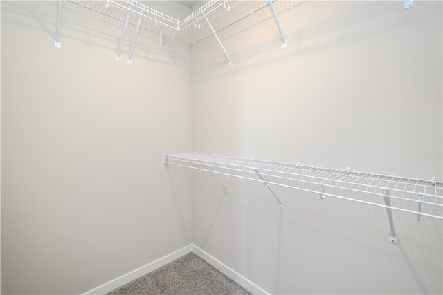 spacious closet with carpet flooring