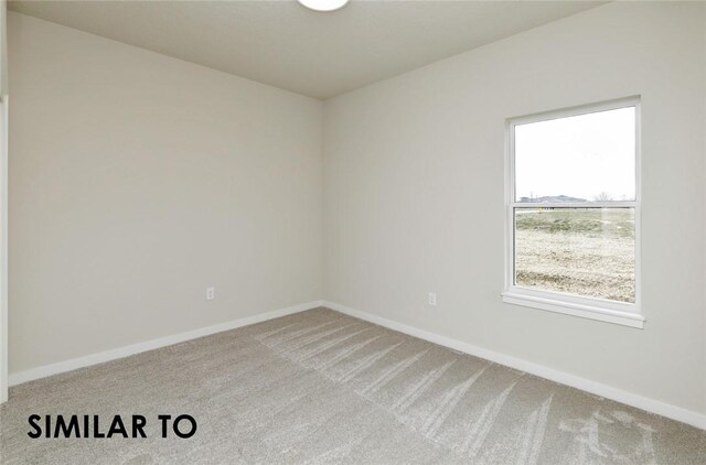 unfurnished room featuring carpet