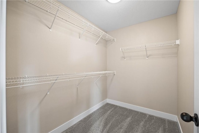 spacious closet with dark colored carpet