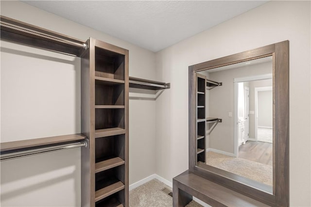 walk in closet with carpet floors