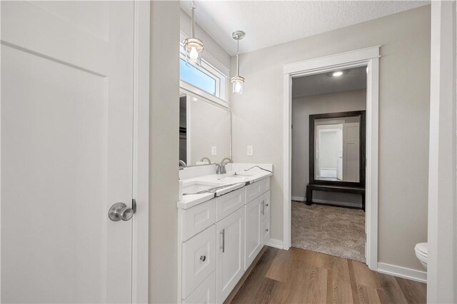 bathroom featuring wood-type flooring, toilet, and vanity with extensive cabinet space