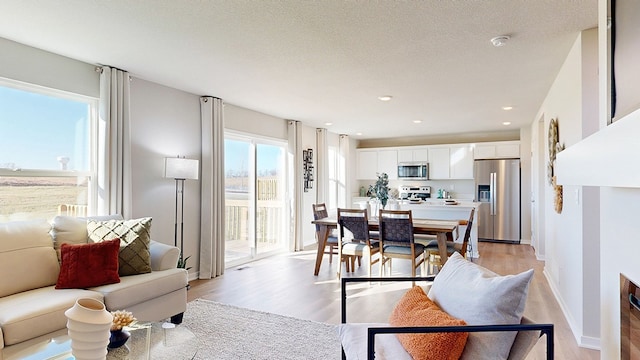 living room with a textured ceiling and light wood-type flooring