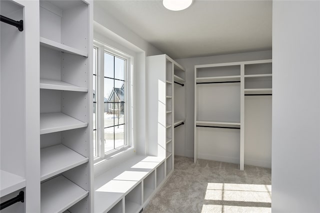 walk in closet featuring light carpet