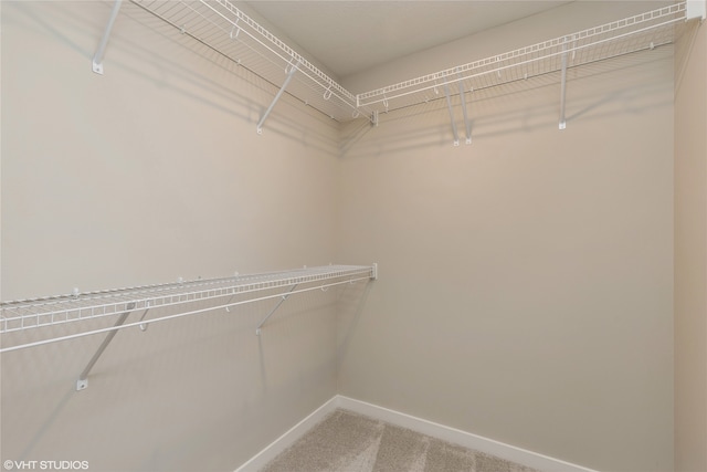 walk in closet with carpet flooring