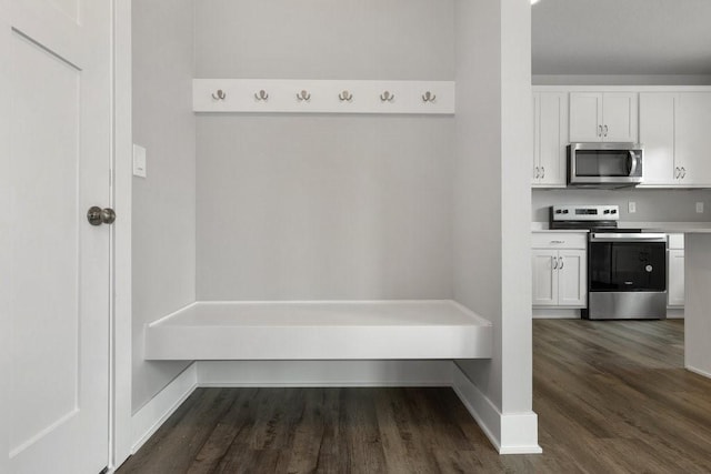 mudroom featuring dark hardwood / wood-style floors