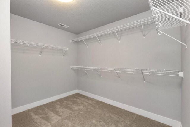 walk in closet with carpet