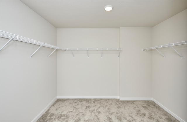 walk in closet with light carpet