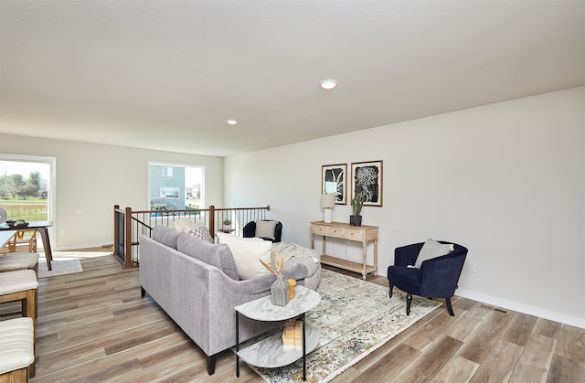 living room featuring hardwood / wood-style floors