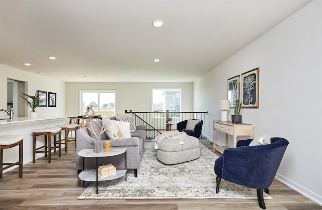 living room with hardwood / wood-style flooring