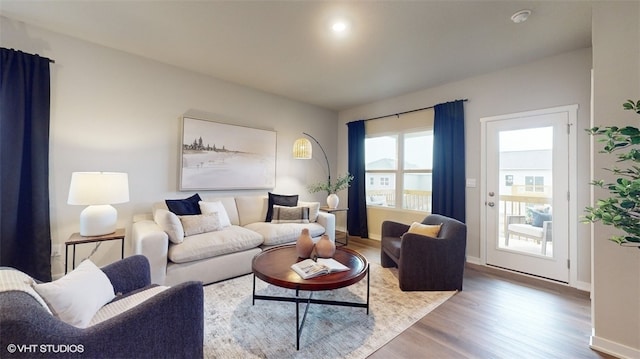 living room featuring hardwood / wood-style floors