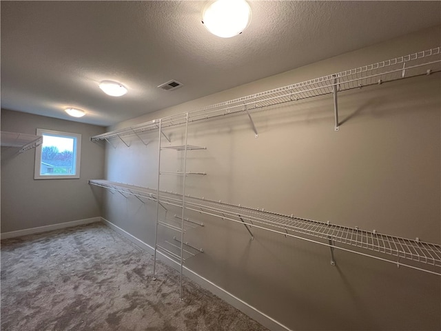 walk in closet featuring carpet flooring