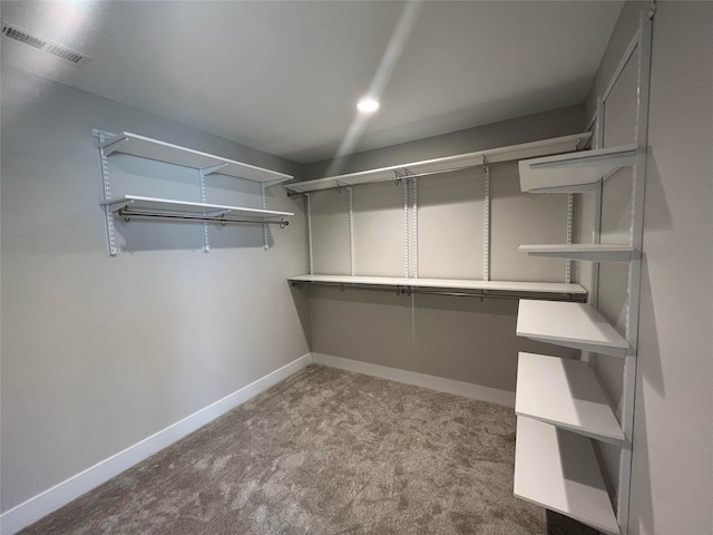 walk in closet with light carpet