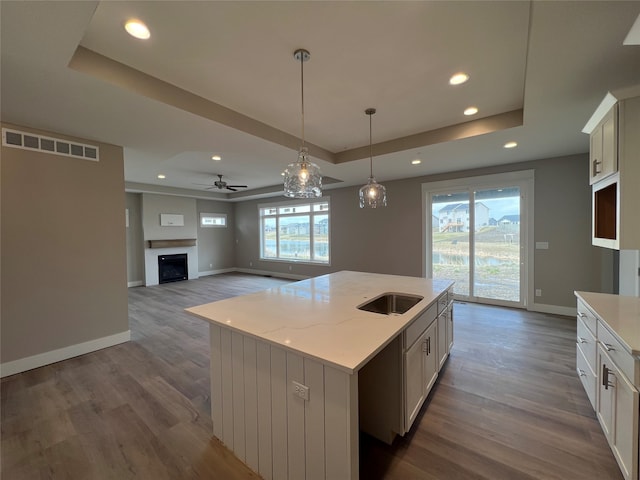 kitchen with a kitchen island with sink, plenty of natural light, and a raised ceiling