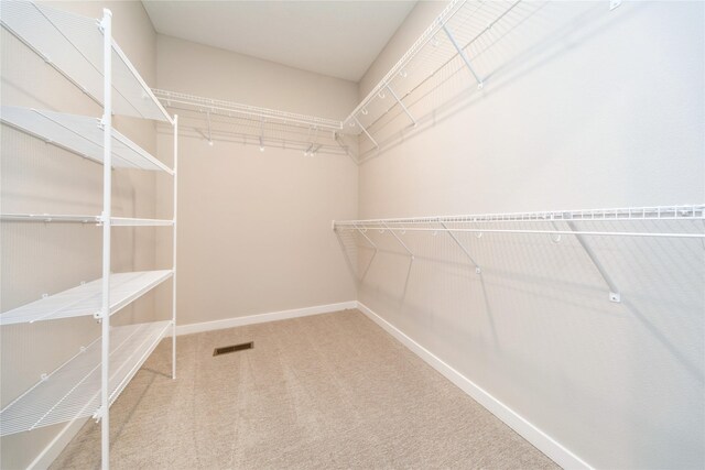 spacious closet with carpet