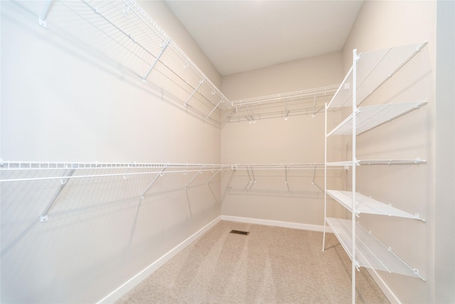 spacious closet featuring carpet flooring