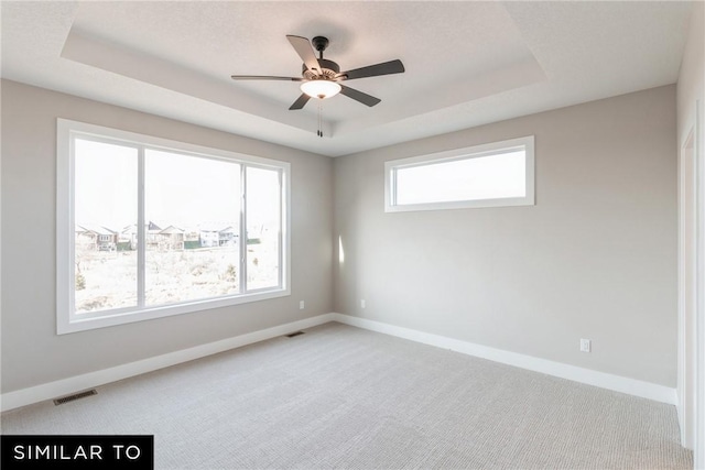 spare room featuring a tray ceiling, plenty of natural light, and light colored carpet