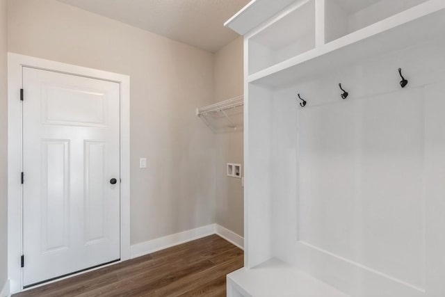 mudroom with dark wood-type flooring