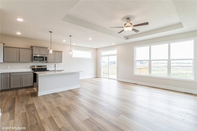 kitchen with appliances with stainless steel finishes, light hardwood / wood-style floors, and plenty of natural light