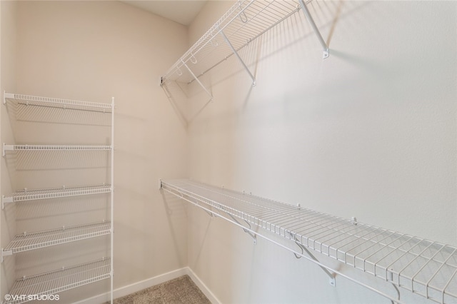 walk in closet with carpet floors