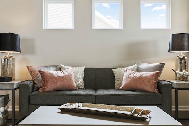 living room featuring hardwood / wood-style floors