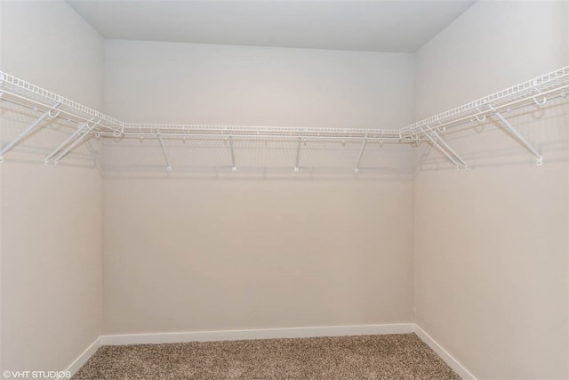 walk in closet with carpet