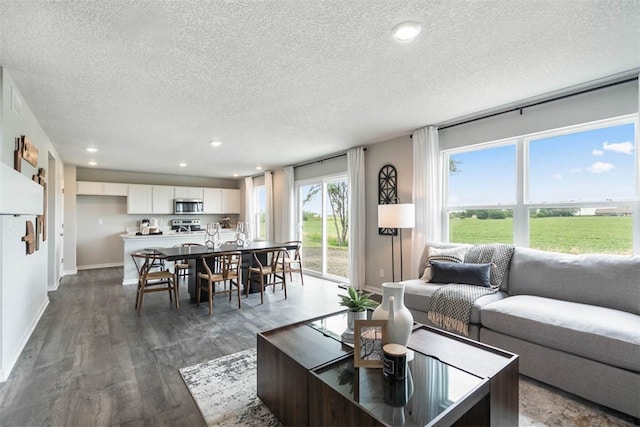 living room with dark hardwood / wood-style flooring and a textured ceiling