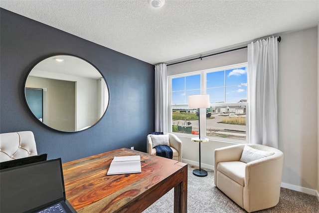 office with a textured ceiling and carpet flooring