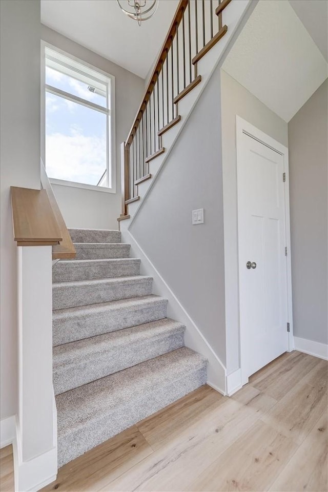 stairway featuring wood-type flooring