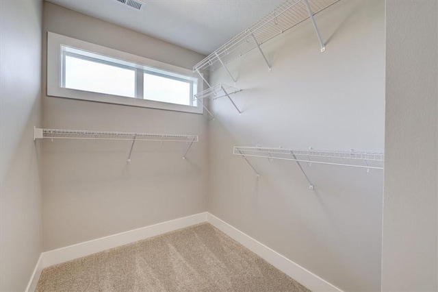 walk in closet featuring carpet flooring