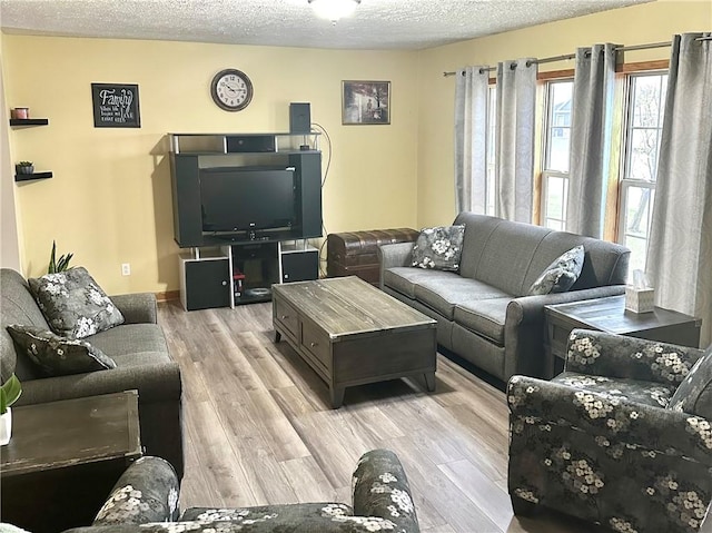 living room with a textured ceiling and light hardwood / wood-style flooring