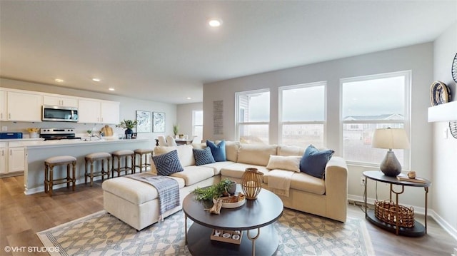 living room featuring light hardwood / wood-style floors