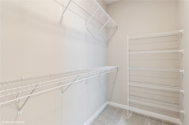 walk in closet featuring carpet flooring