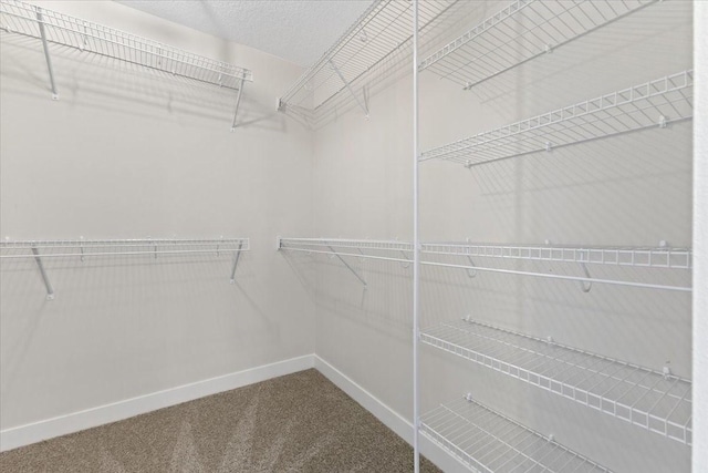 spacious closet with carpet floors