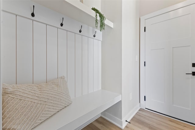 mudroom featuring light wood-type flooring