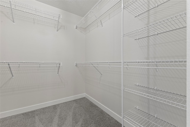 spacious closet featuring carpet flooring