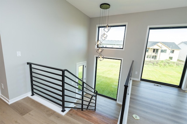 foyer featuring hardwood / wood-style floors and a wealth of natural light