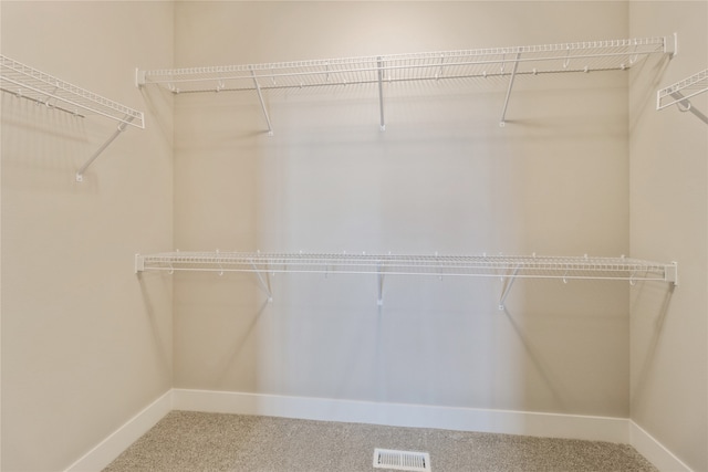 spacious closet featuring carpet