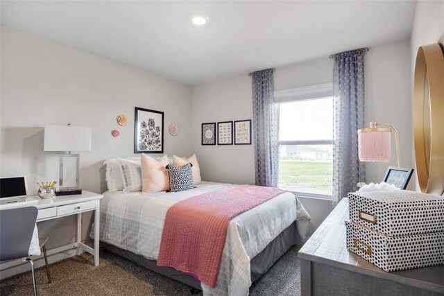 25091 Eagle Vista Dr, Adel, IA 50003 - photo 15