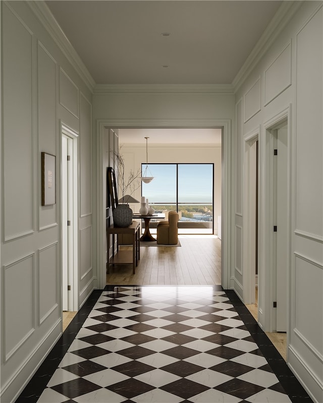 corridor featuring crown molding and dark hardwood / wood-style floors