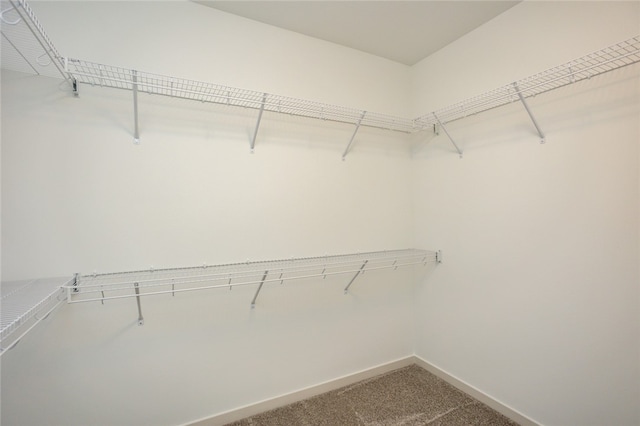 walk in closet with carpet