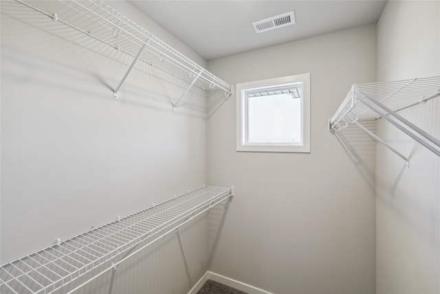 view of spacious closet