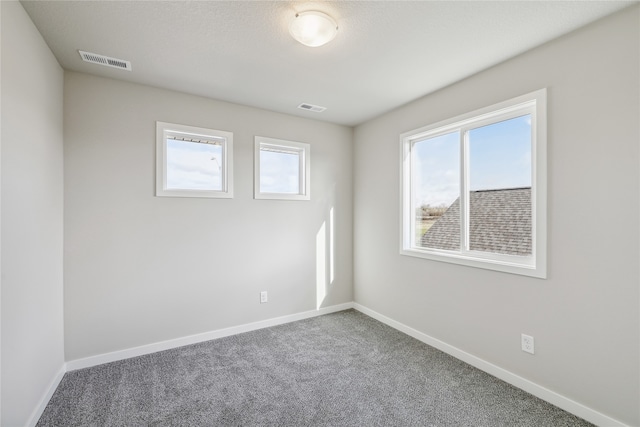 empty room with carpet floors and a healthy amount of sunlight