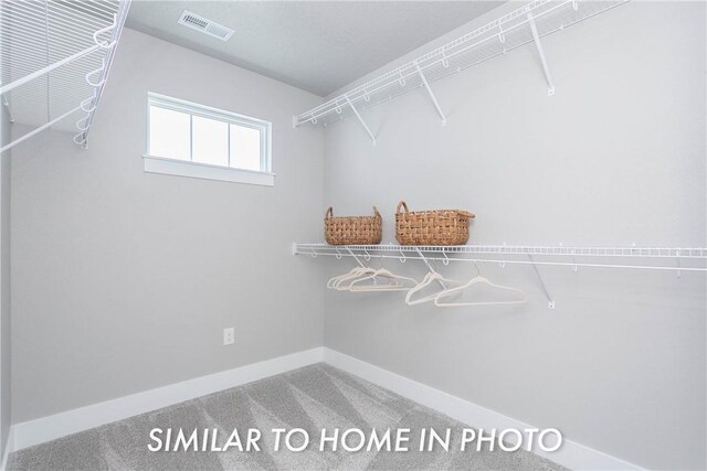 walk in closet featuring carpet