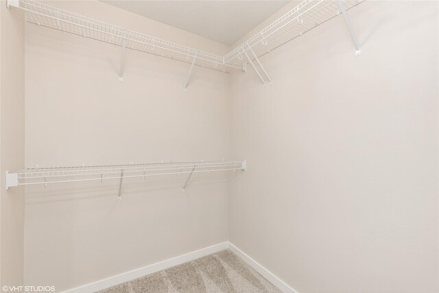 spacious closet with carpet floors