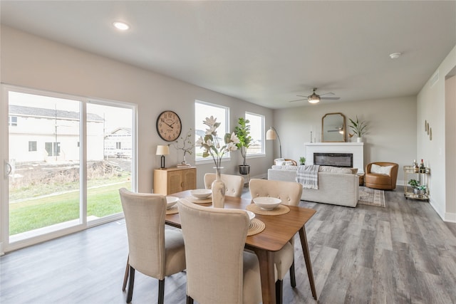 dining space featuring light hardwood / wood-style flooring, a wealth of natural light, and ceiling fan