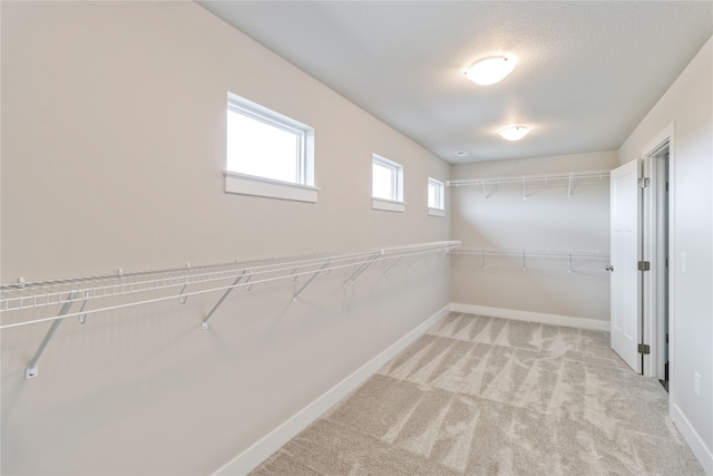 spacious closet with light carpet