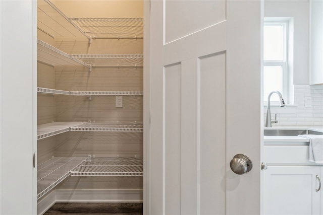 pantry with sink