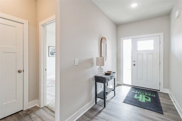 entrance foyer featuring wood-type flooring